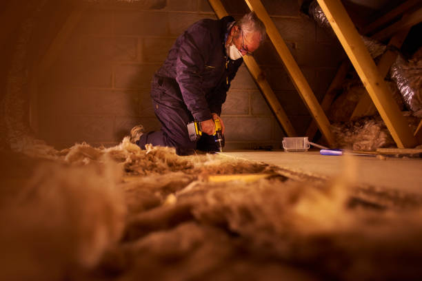 Best Basement Insulation  in Northbrook, OH